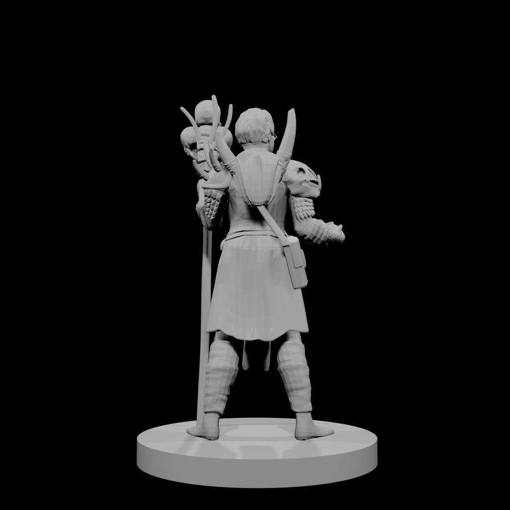 Human Male Druid 2