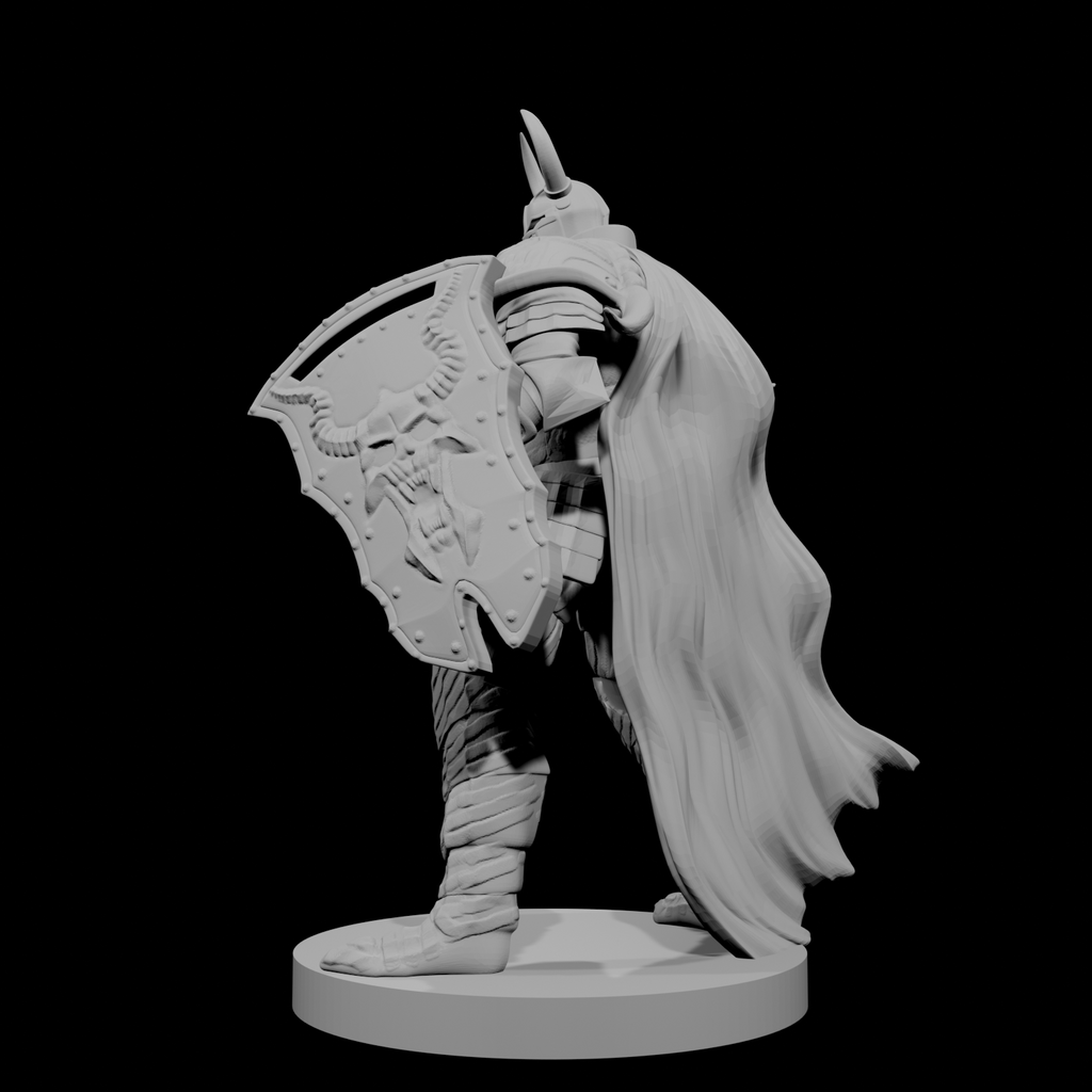 Human Male Fallen Paladin Warhammer and Shield
