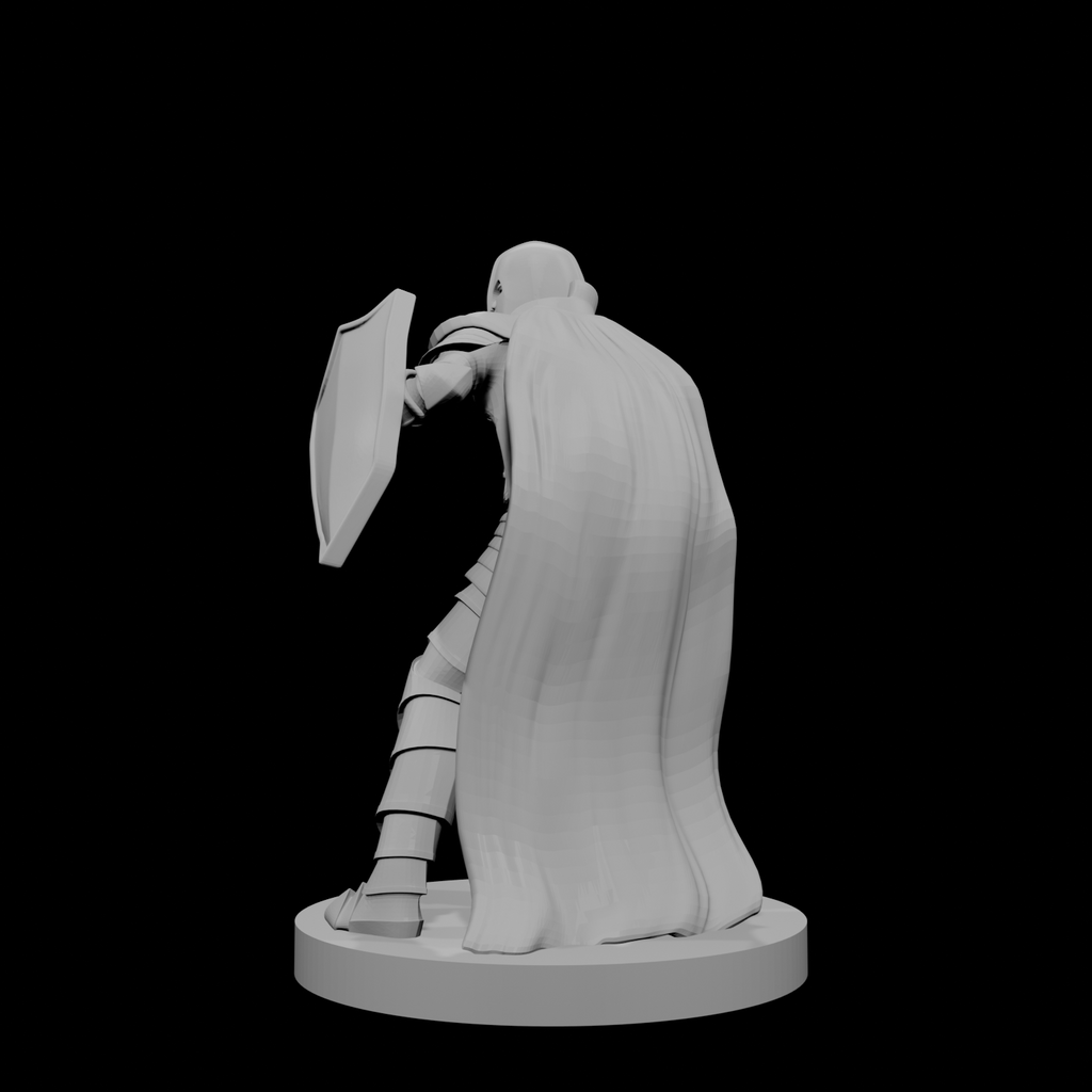 Human Male Fighter Axe and Shield