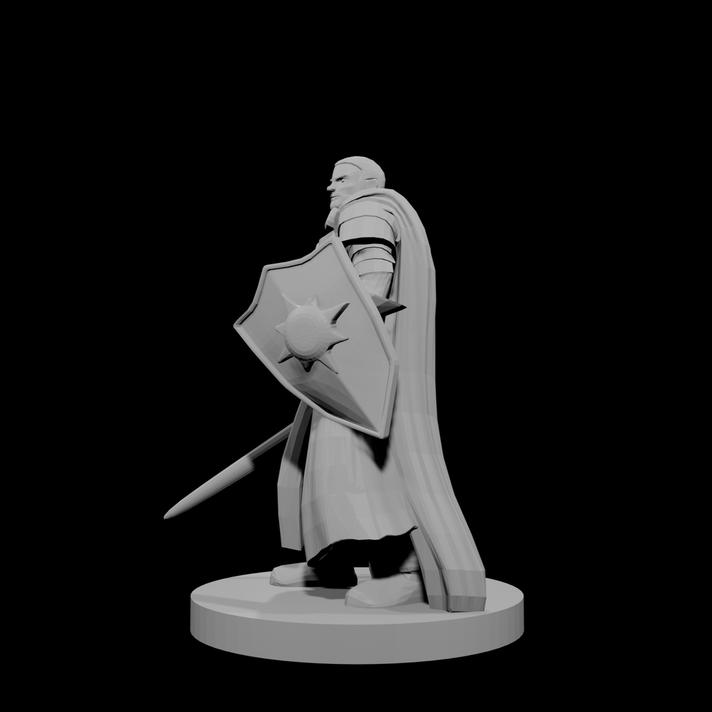 Human Male Light Cleric with Sword and Shield