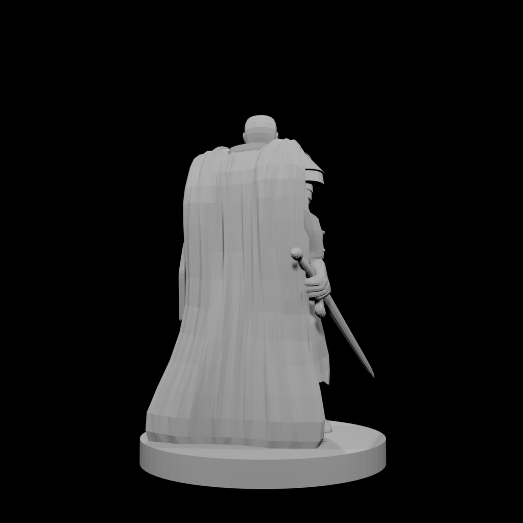 Human Male Light Cleric with Sword and Shield