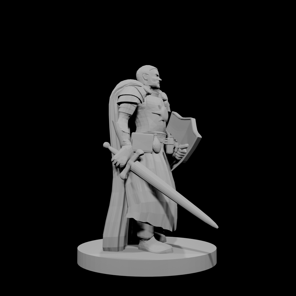 Human Male Light Cleric with Sword and Shield