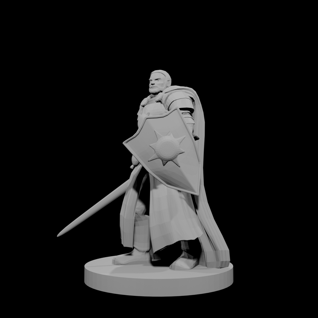 Human Male Light Cleric with Sword and Shield