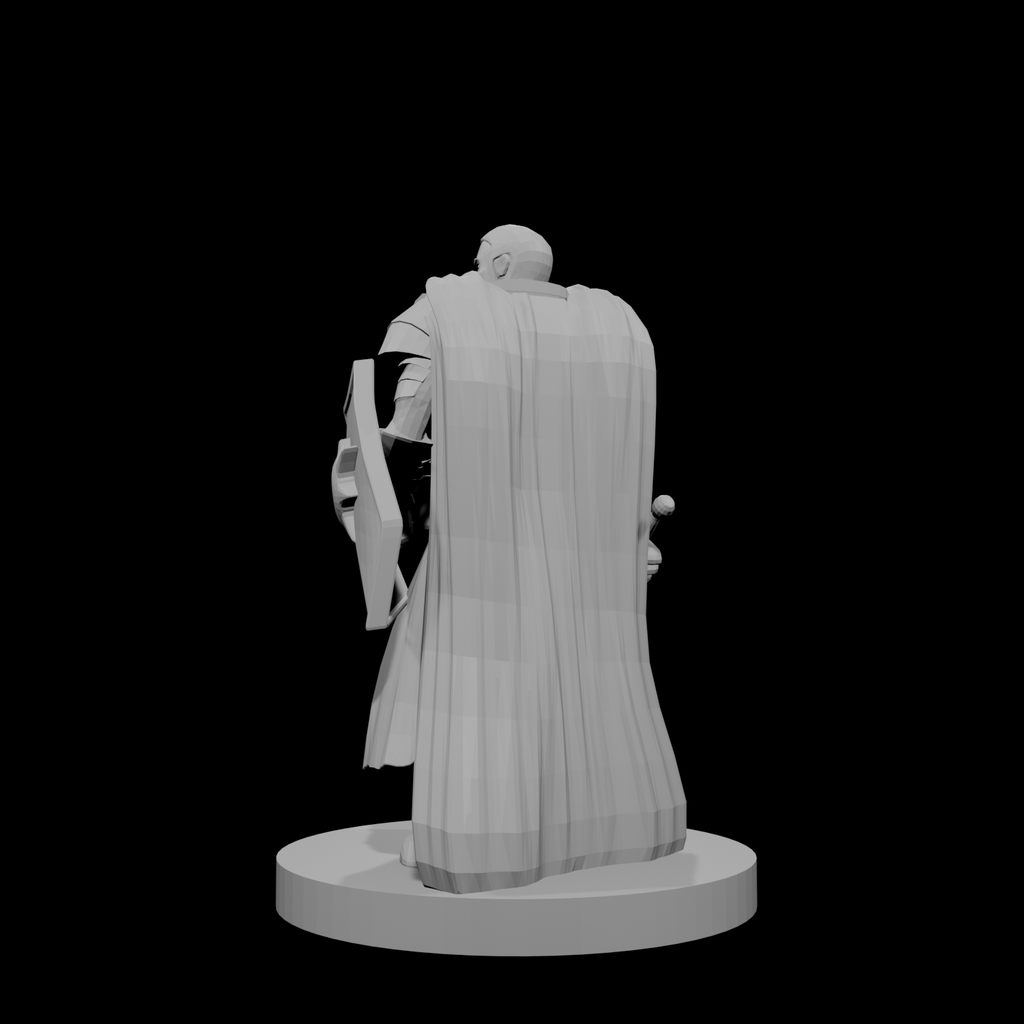 Human Male Light Cleric with Sword and Shield