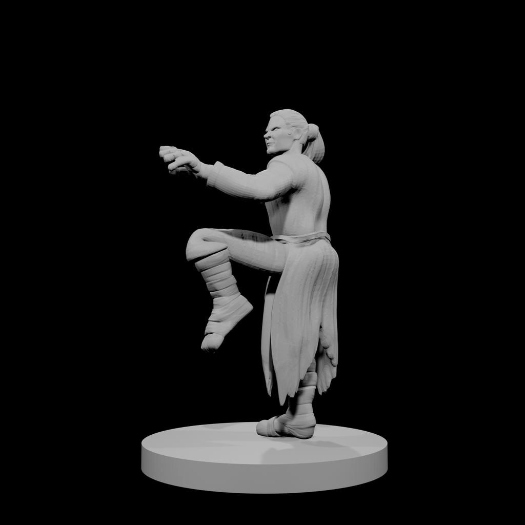 Human Male Monk 3