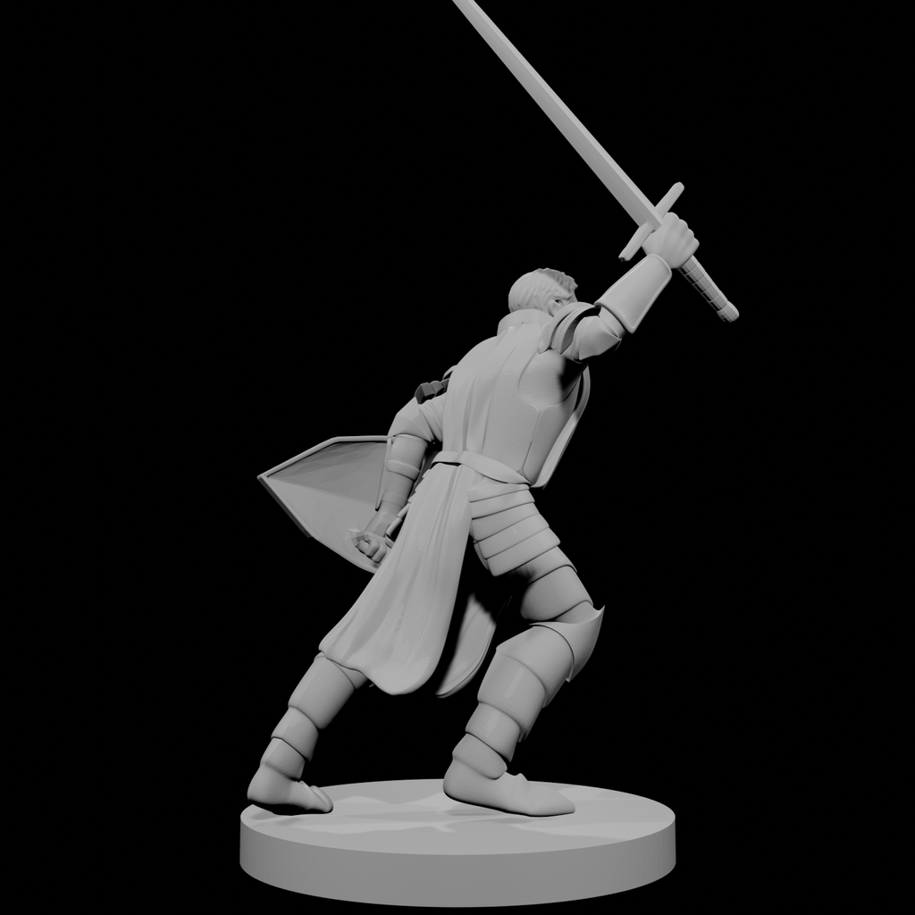 Human Male Paladin Charging