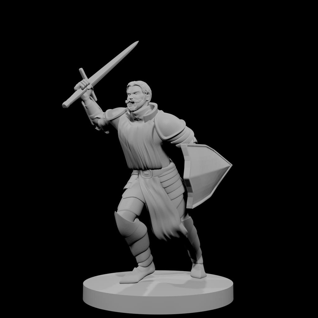 Human Male Paladin Charging