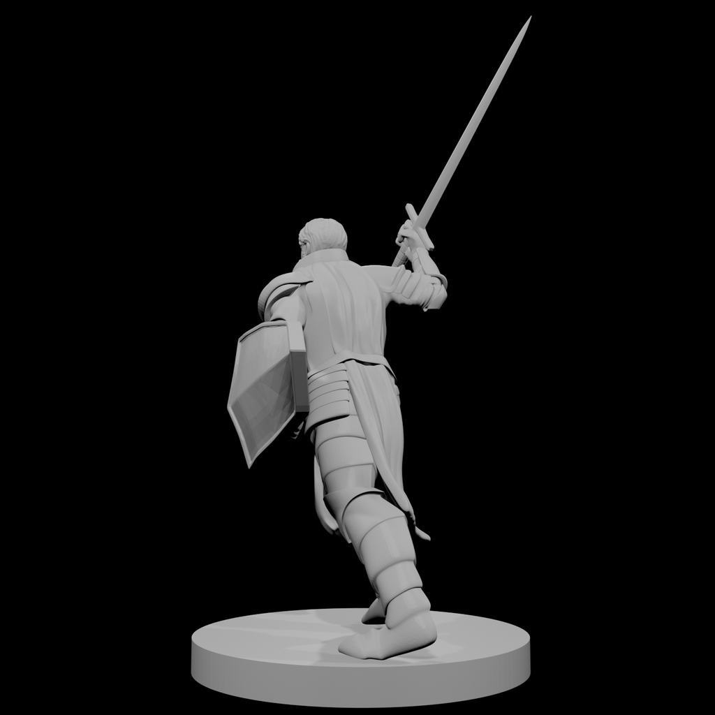 Human Male Paladin Charging