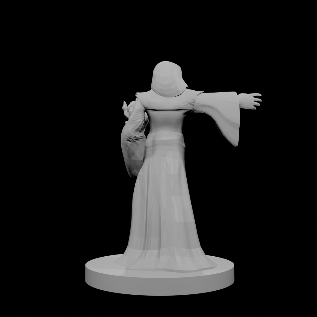 Human Male Sorcerer