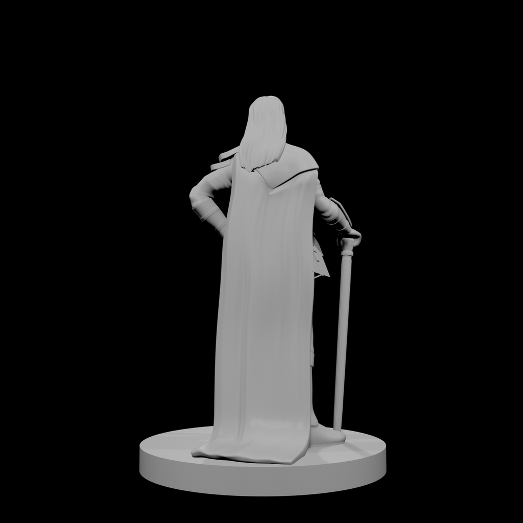 Human Male Transmuter Wizard