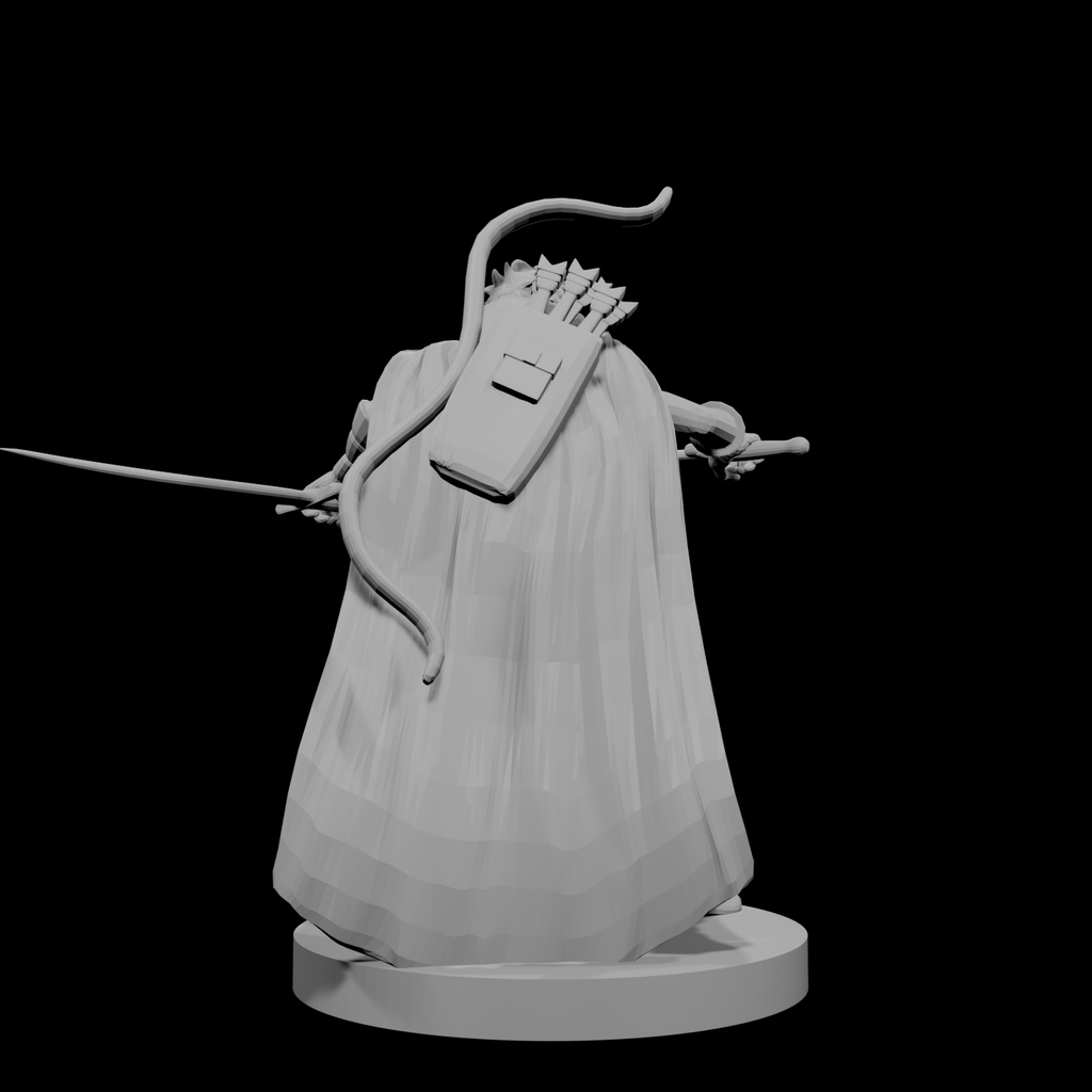 Human Male Two Sword Ranger
