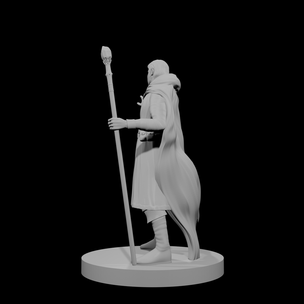 Human Male Wizard 3