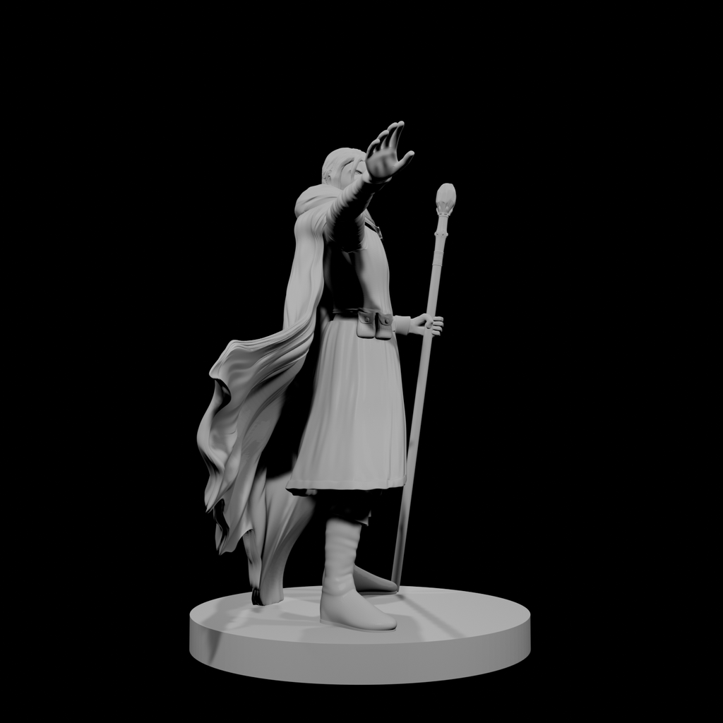 Human Male Wizard 3