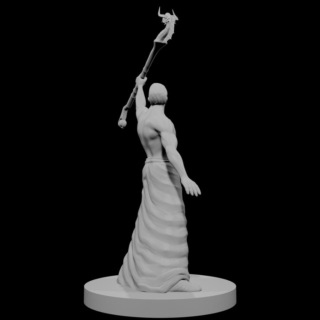 Human Male Wizard with Dragon Staff