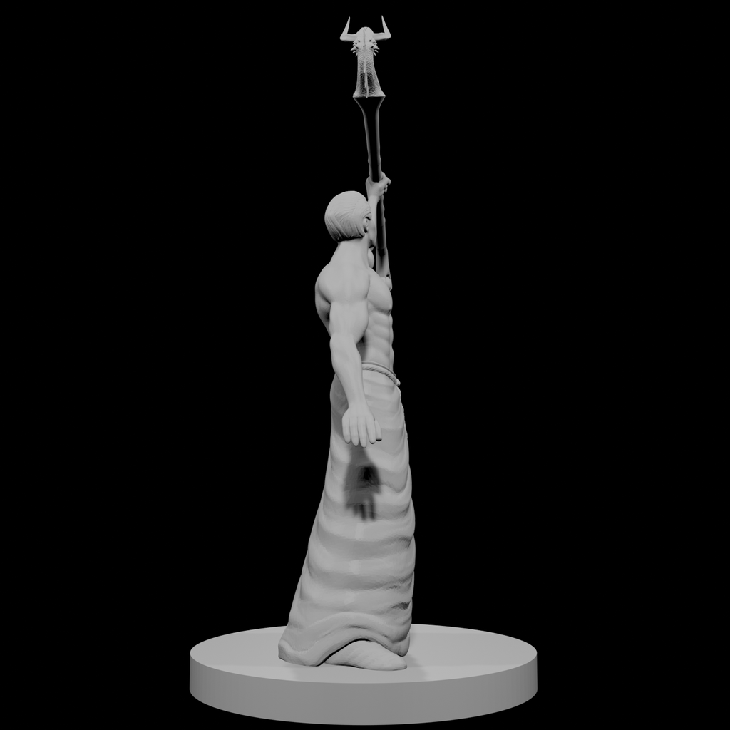 Human Male Wizard with Dragon Staff