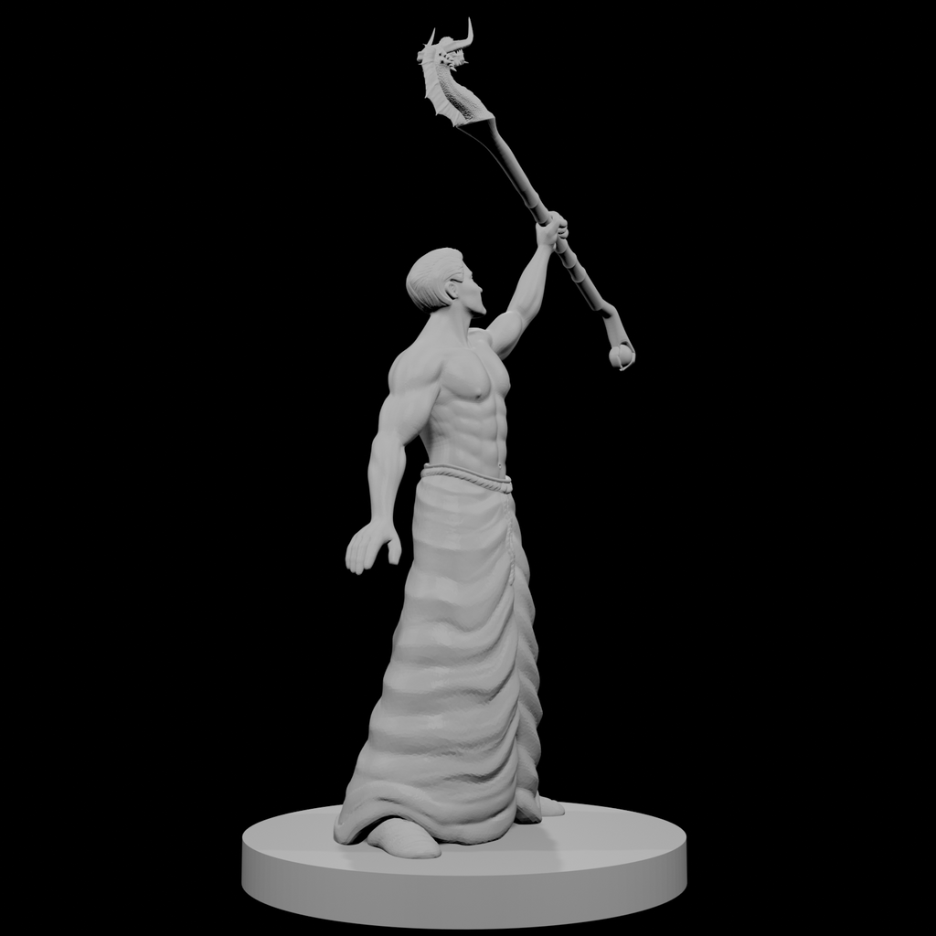 Human Male Wizard with Dragon Staff