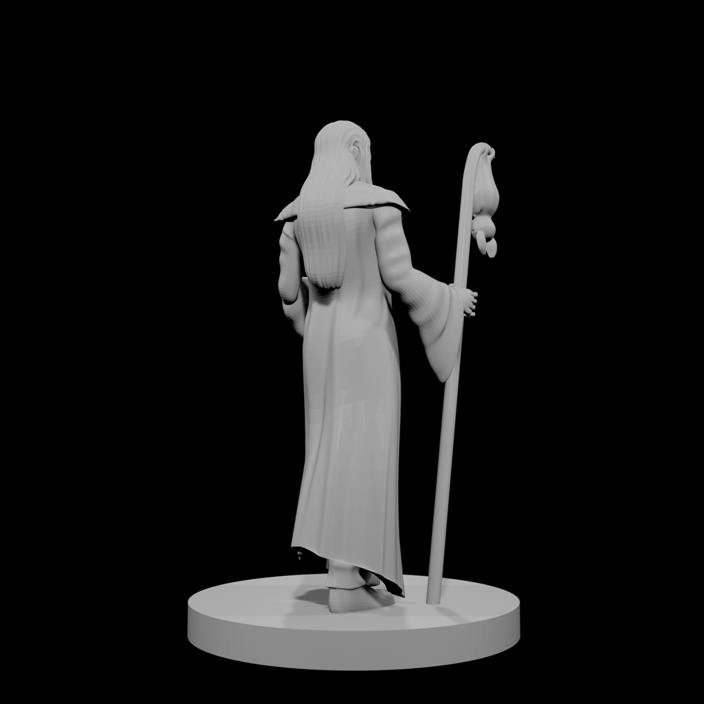 Human Wizard with Bat Familiar