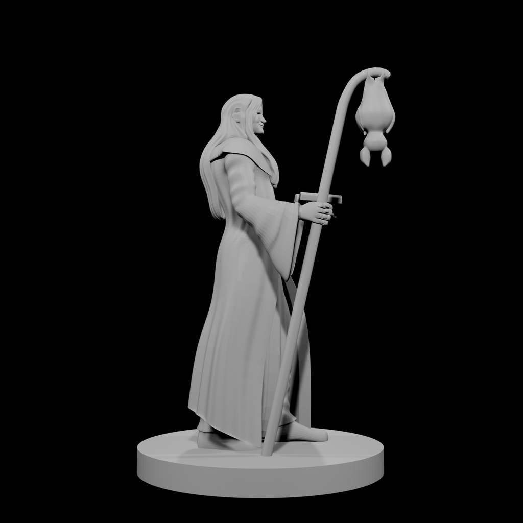 Human Wizard with Bat Familiar
