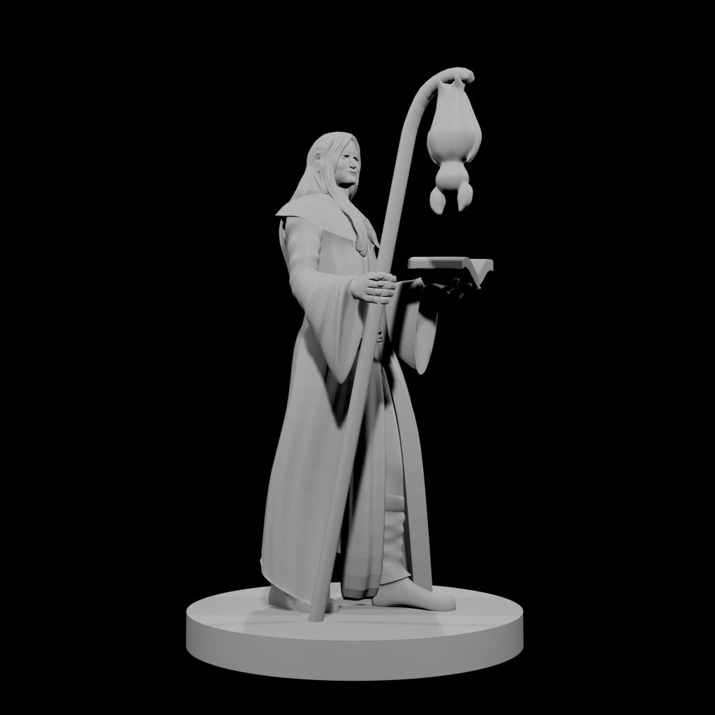 Human Wizard with Bat Familiar