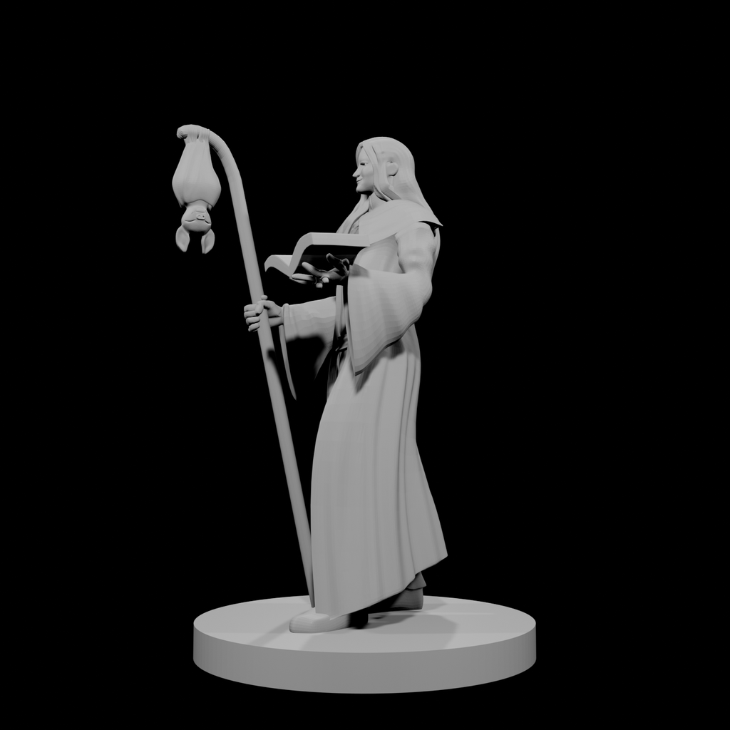 Human Wizard with Bat Familiar