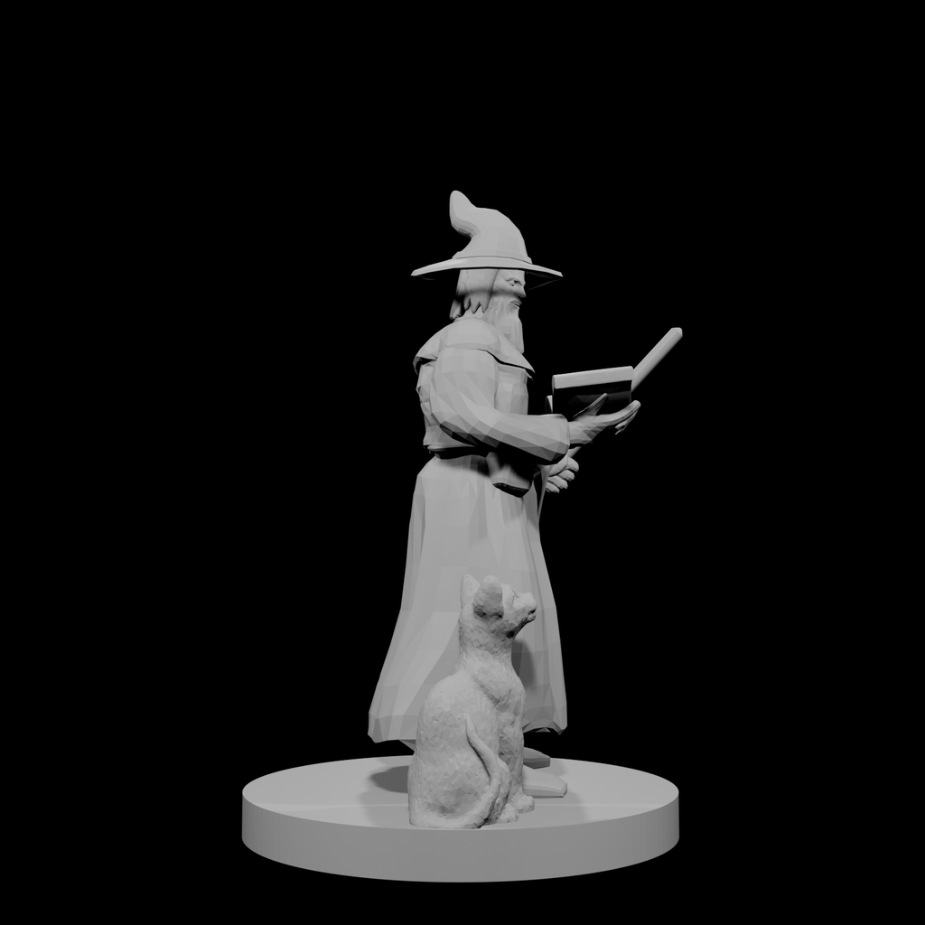 Human Wizard with beard and staff