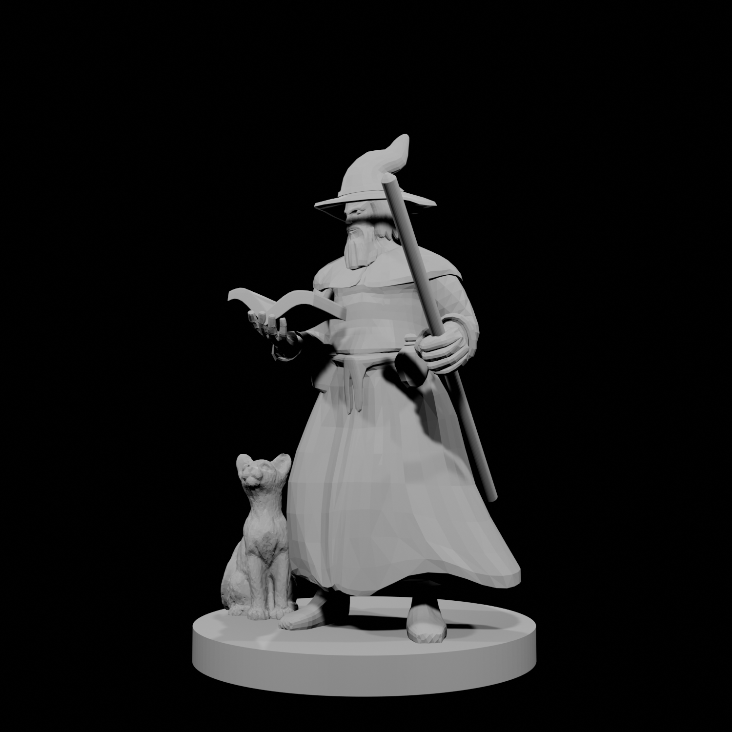 Human Wizard with beard and staff