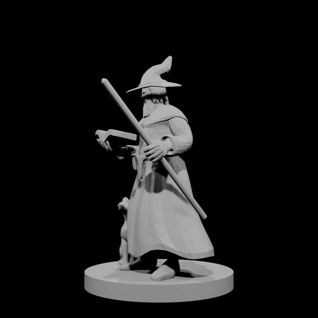 Human Wizard with beard and staff