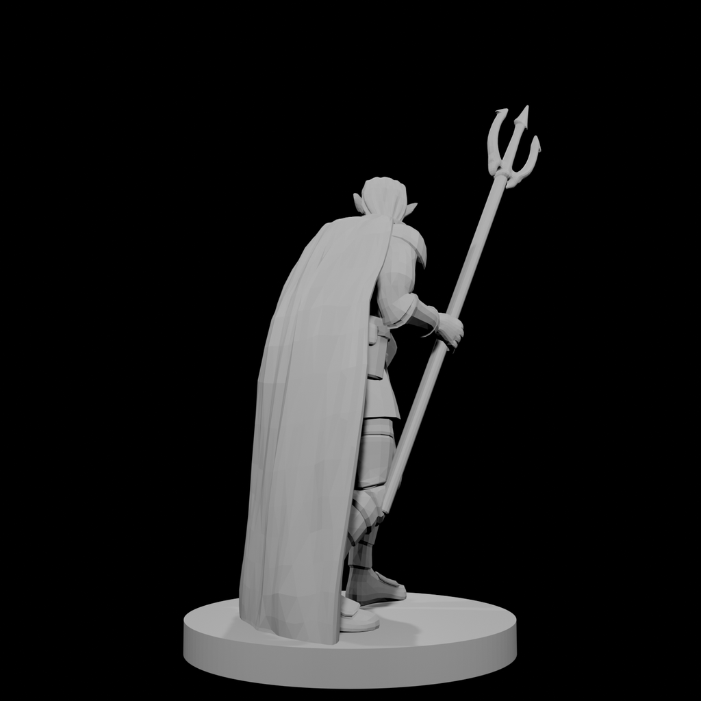 Male  Elven Cleric of Temptest