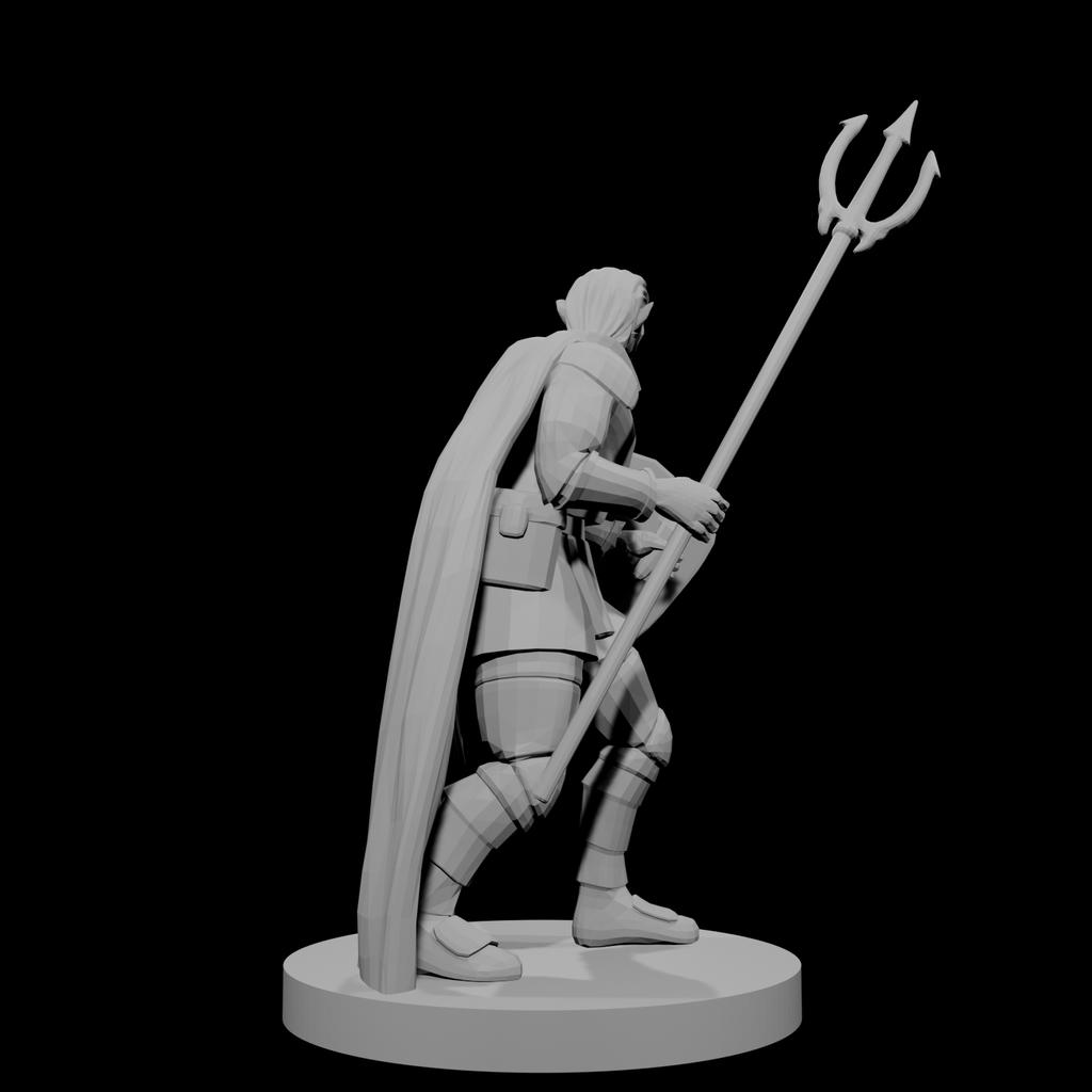 Male  Elven Cleric of Temptest