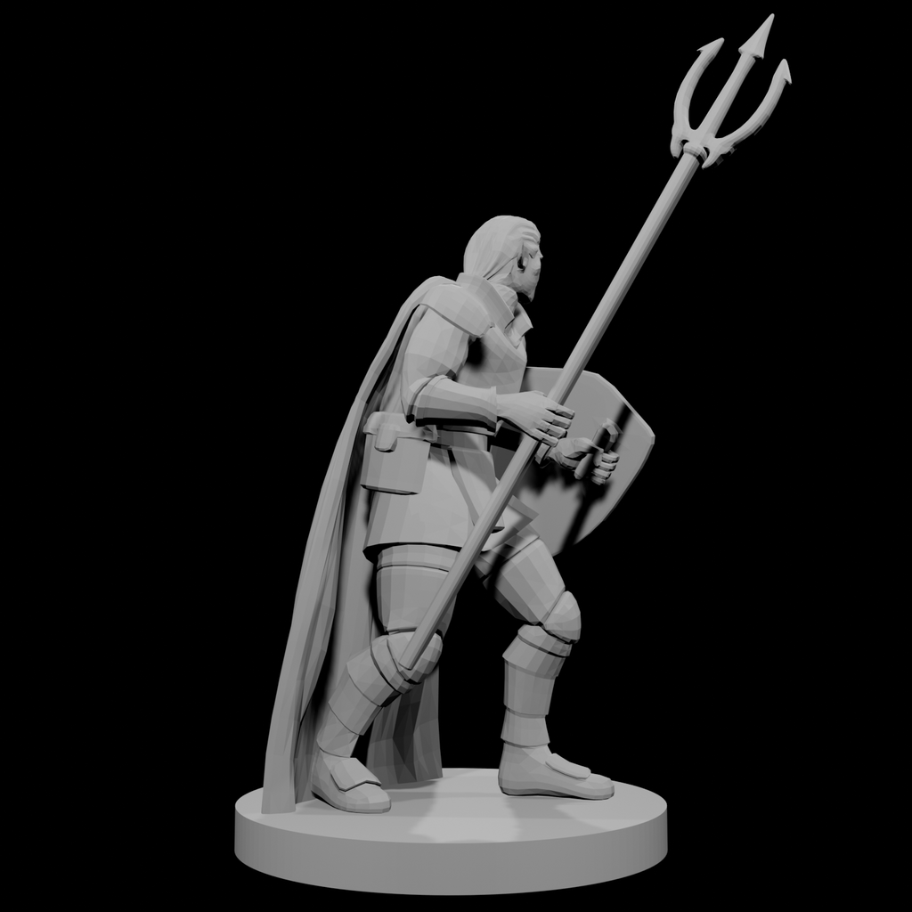 Male  Elven Cleric of Temptest