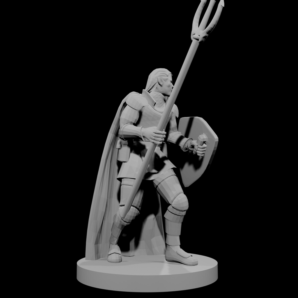 Male  Elven Cleric of Temptest