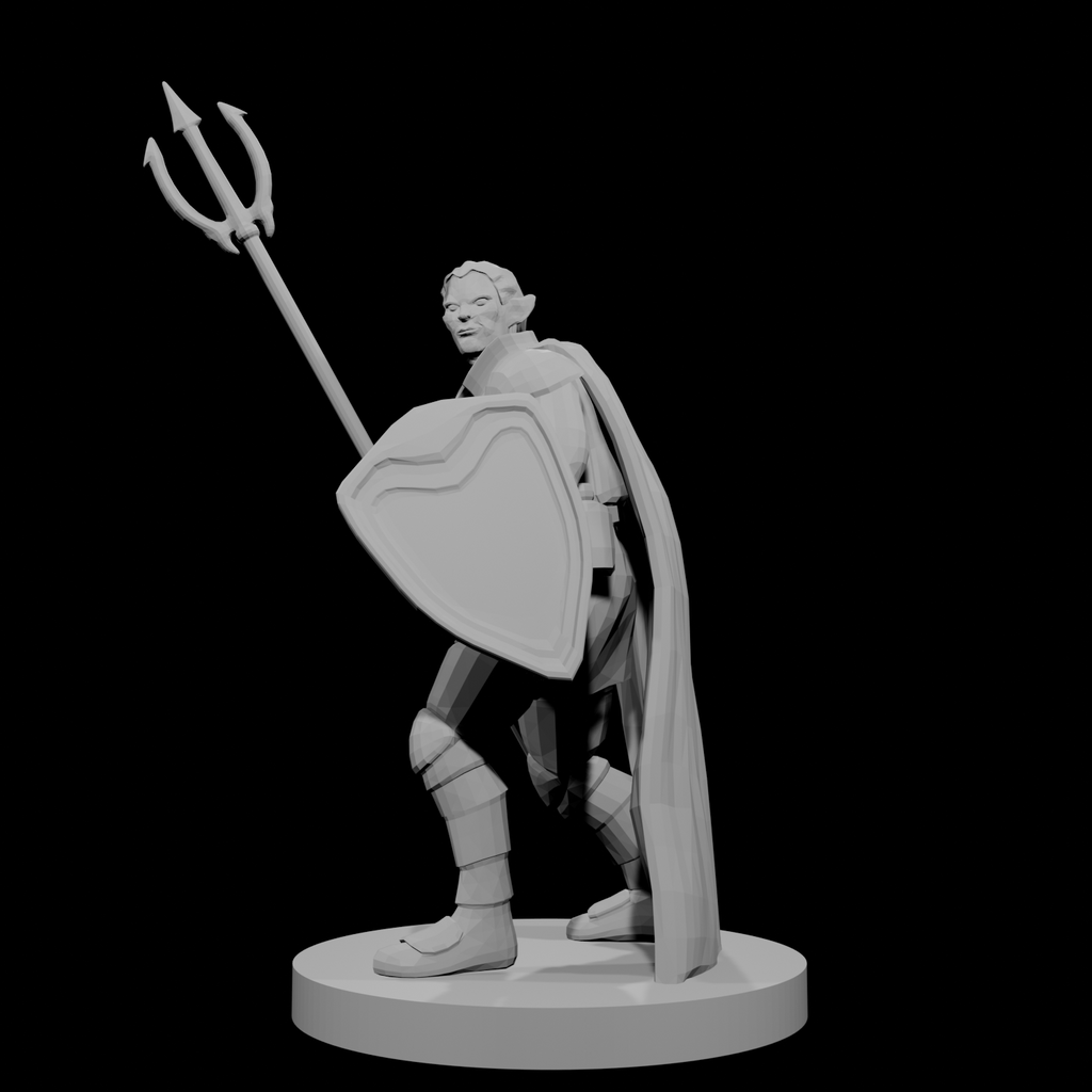 Male  Elven Cleric of Temptest