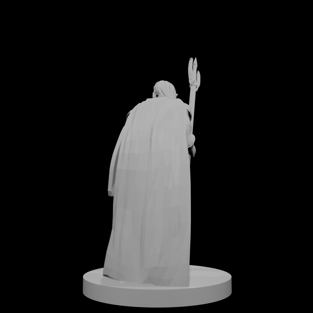 Male  Elven Cleric of Temptest