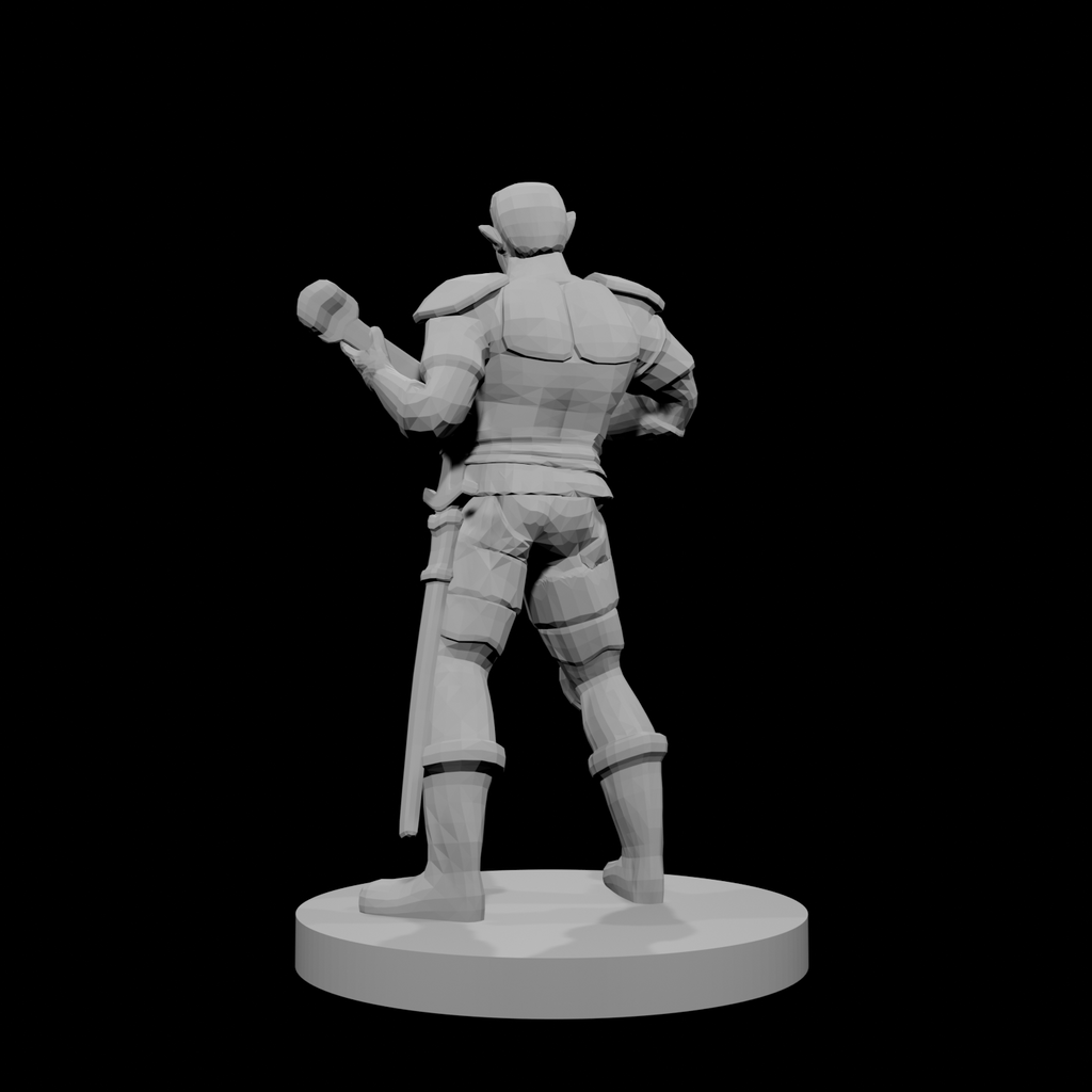 Male Half Elf Bard
