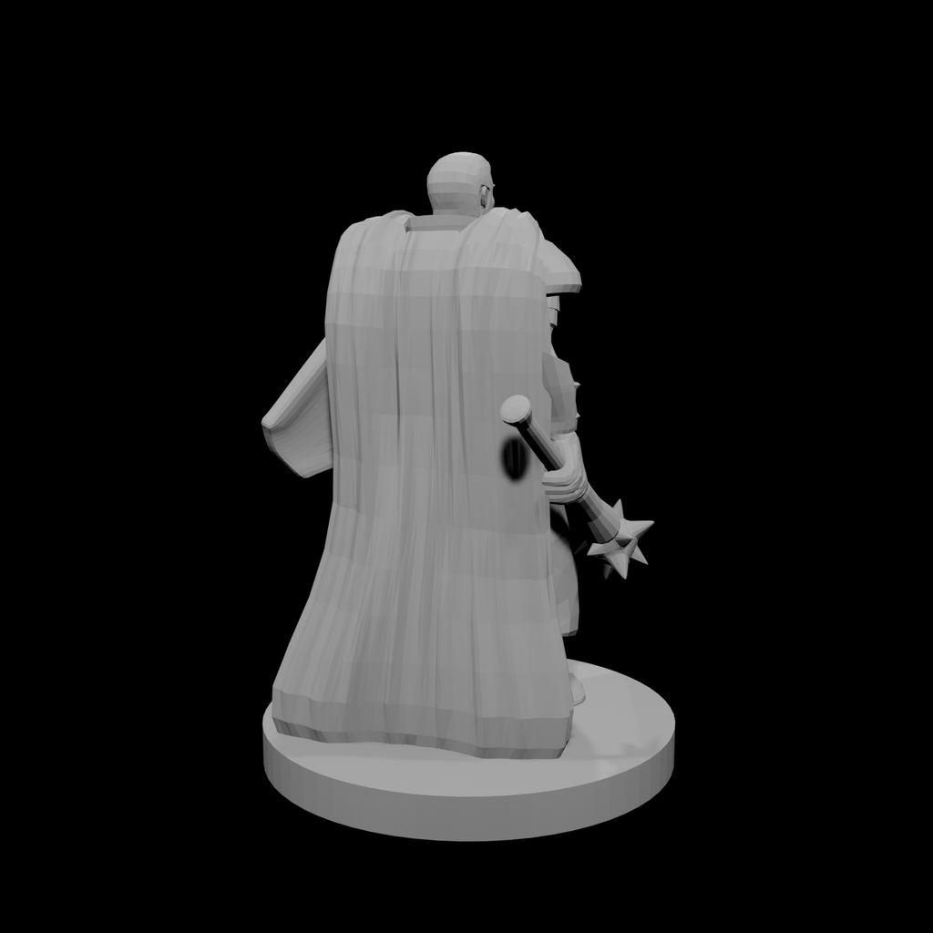 Noble Cleric Mace and Shield