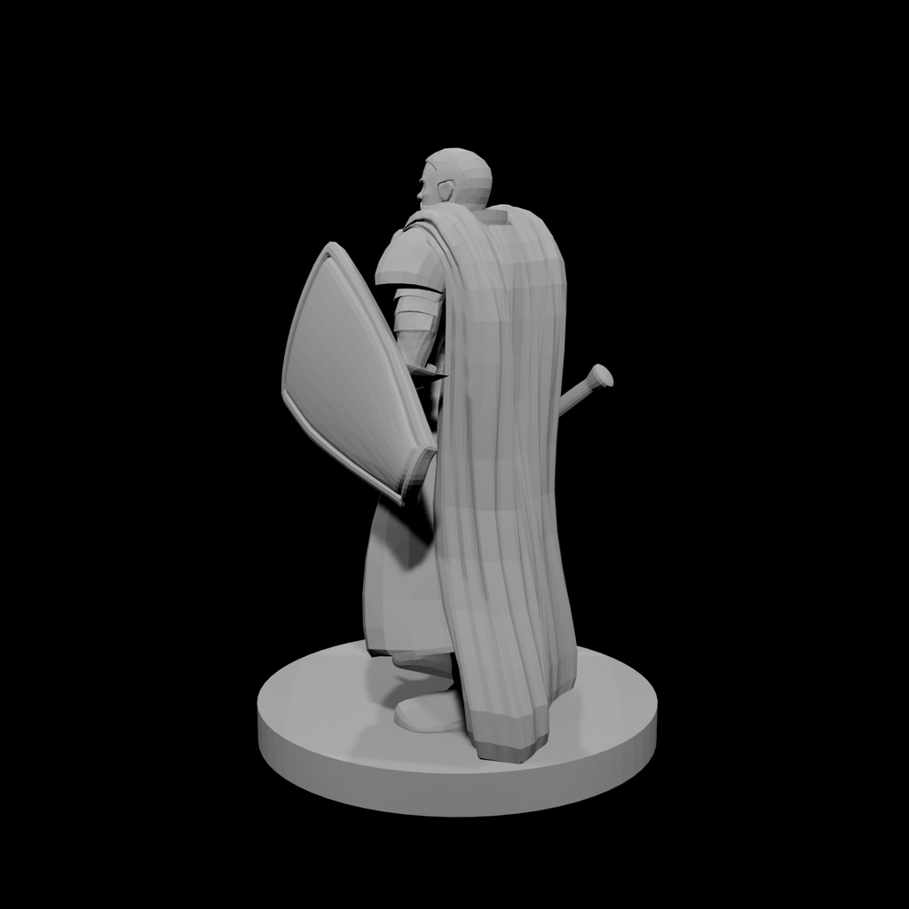 Noble Cleric Mace and Shield