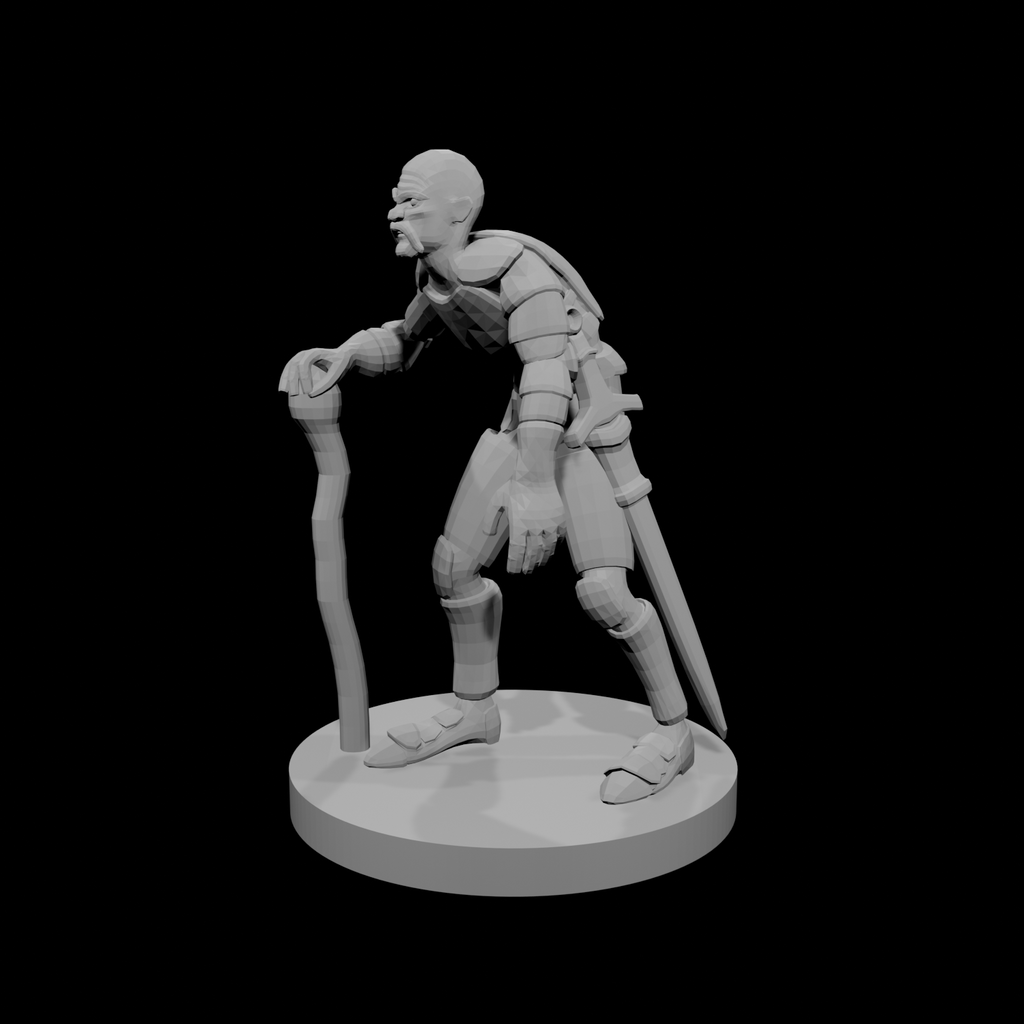 Old Paladin