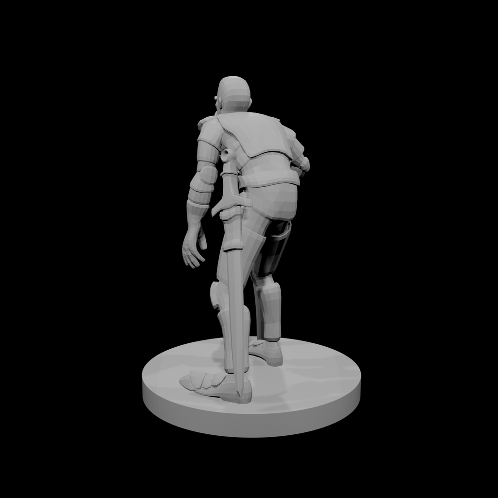 Old Paladin