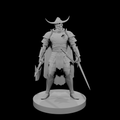 Undead Warlord