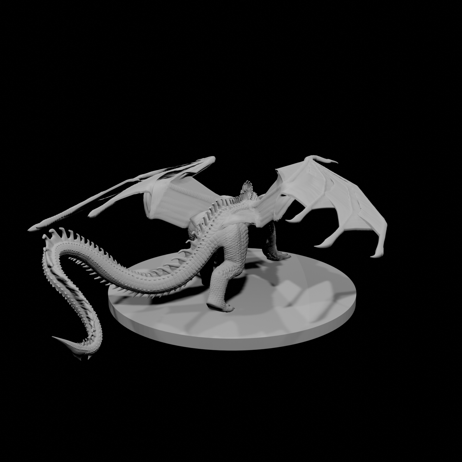 Young Black Dragon