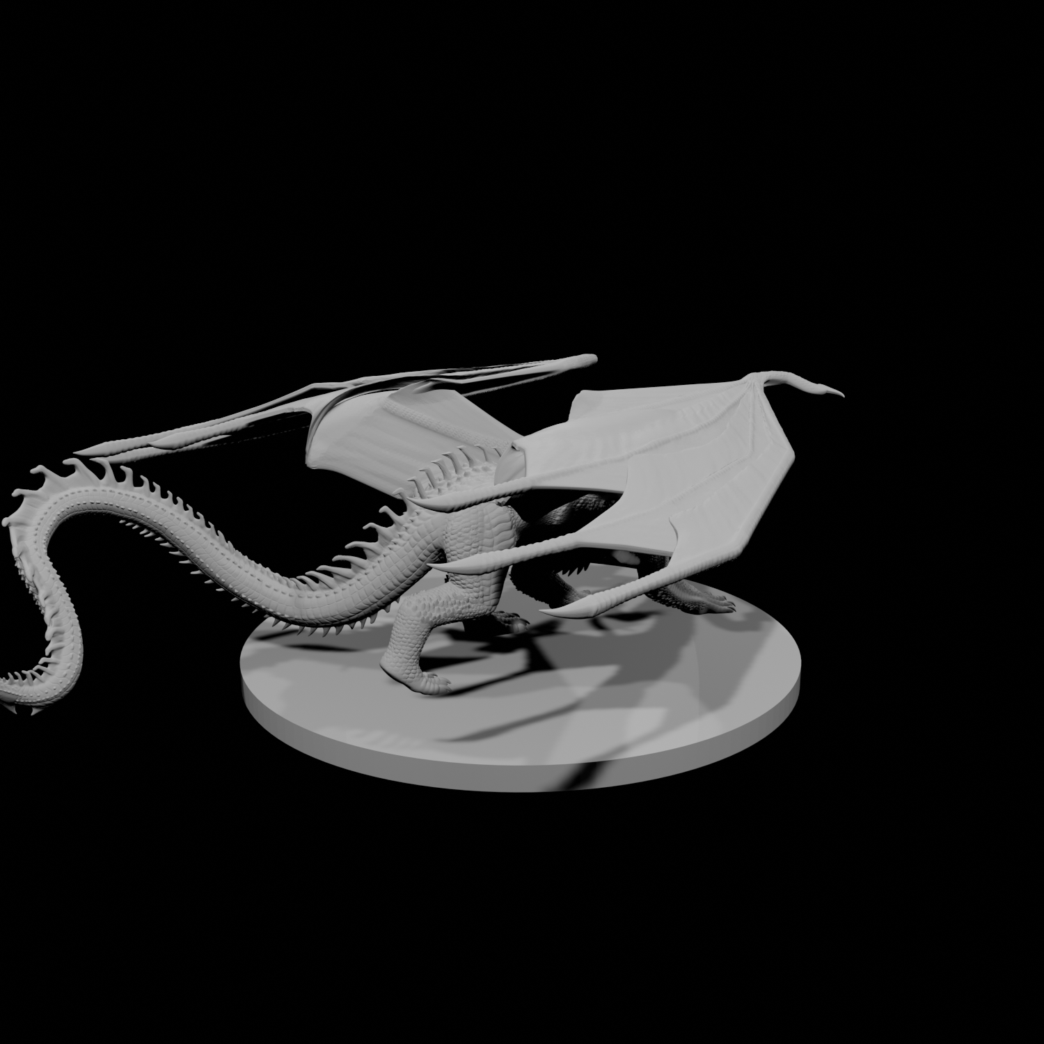 Young Black Dragon