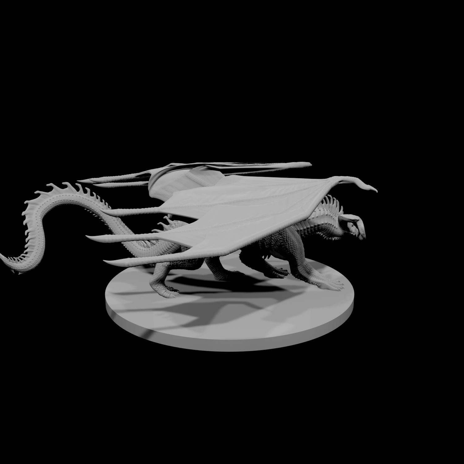 Young Black Dragon