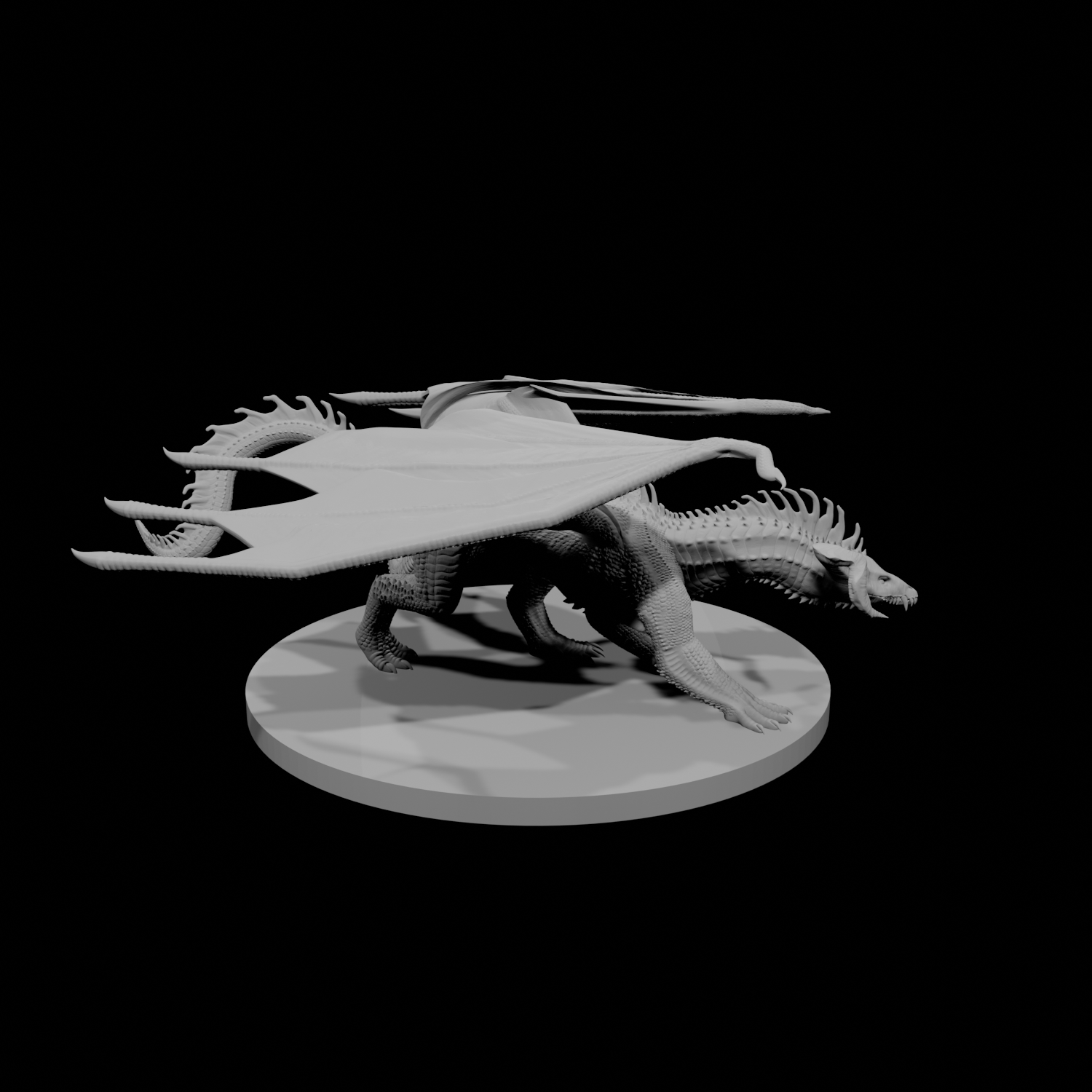 Young Black Dragon