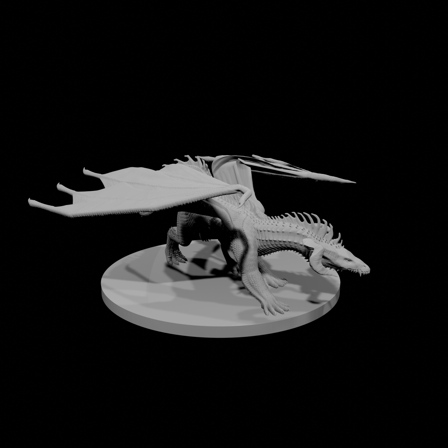 Young Black Dragon