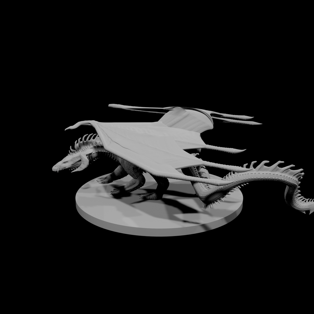 Young Black Dragon