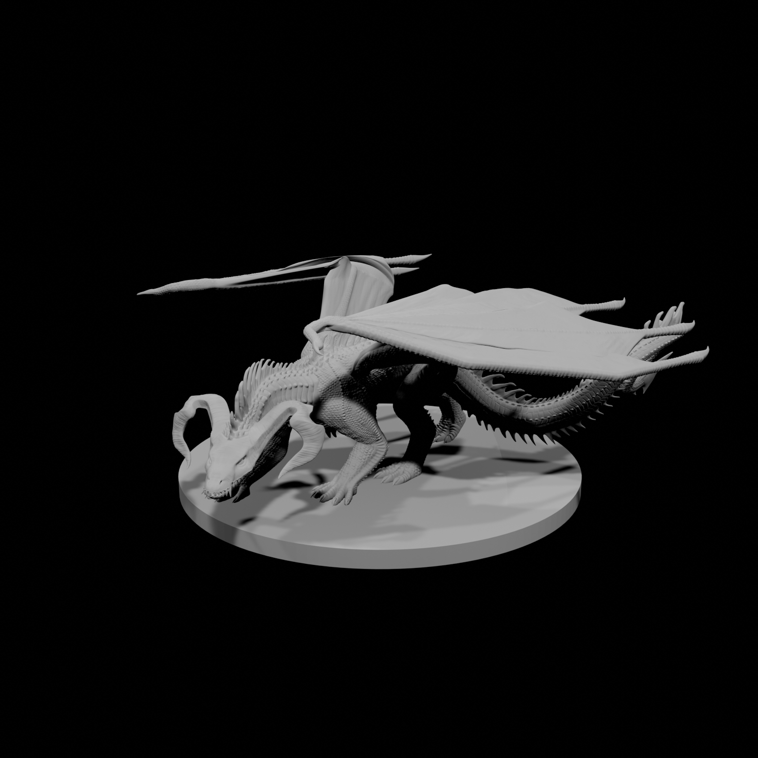 Young Black Dragon