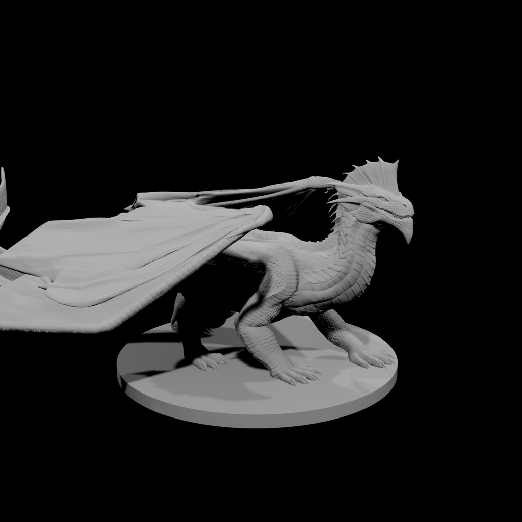 Young Silver Dragon